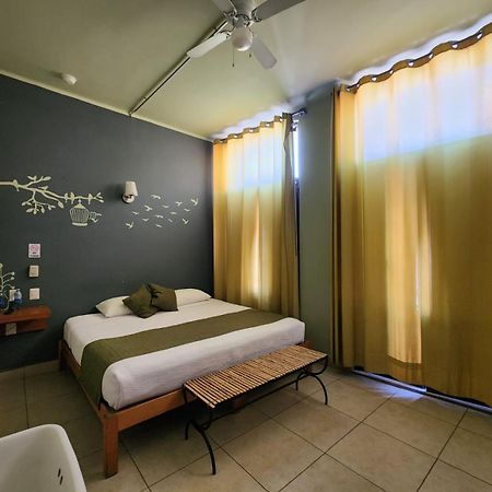 Hotel Plaza ケレタロ エクステリア 写真